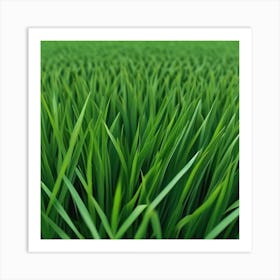 Green Grass Background 22 Art Print