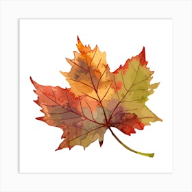 Maple Leaf 3 Art Print