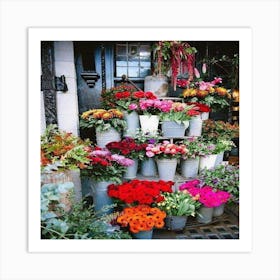 Flower Shop Art Print