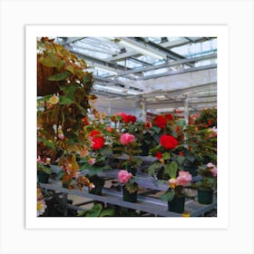 Flowers In A Greenhouse Art Print