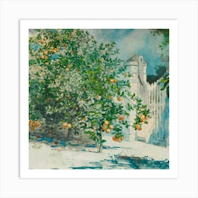 Garden 12 Art Print