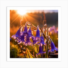 Bluebells At Sunrise Art Print