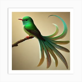 Hummingbird 33 Art Print