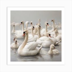 Swans 8 Art Print