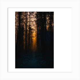 Sunrise In The Forest 5 Art Print