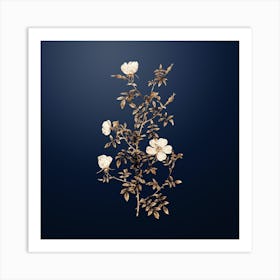 Gold Botanical Hedge Rose on Midnight Navy n.0557 Art Print