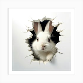 Rabbit Peeking Through A Hole 4 Art Print