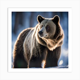 Grizzly Bear Art Print