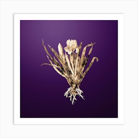 Gold Botanical Crimean Iris on Royal Purple n.2734 Art Print