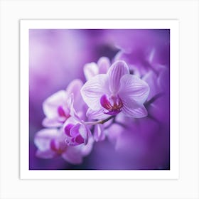 Orchids Art Print