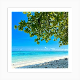 Relax Ocean Plant Idylli Holiday Coastline Beautiful Calm Shore Blue Paradise Sunlight N (25) Art Print