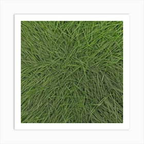 Grass Background 22 Art Print