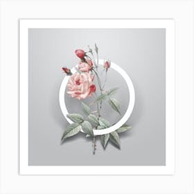 Vintage Common Rose of India Minimalist Flower Geometric Circle on Soft Gray n.0164 Art Print