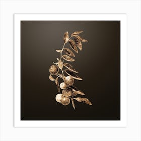 Gold Botanical Chinese Jujube on Chocolate Brown n.3091 Art Print