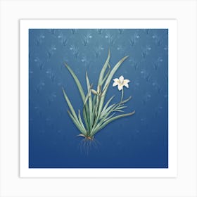 Vintage Fortnight Lily Botanical on Bahama Blue Pattern n.2113 Art Print