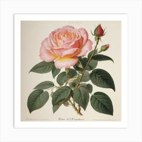 Rose Of France flower plants painting art print Art Print