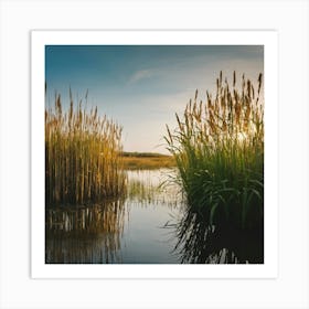 Reeds In The Water 1 Art Print