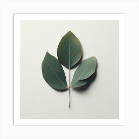 Eucalyptus Leaf 8 Art Print