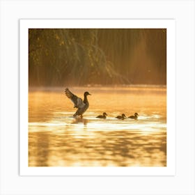 Ducks In A Pond 1 Art Print