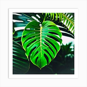 Jungles big leaf Art Print