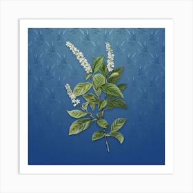 Vintage Virginia Sweetspire Botanical on Bahama Blue Pattern n.1513 Art Print