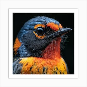 Rufous-Tailed Robin Art Print