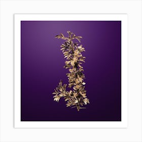 Gold Botanical Caragana Spinosa on Royal Purple n.3758 Art Print
