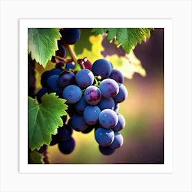 Grapes On The Vine 9 Art Print