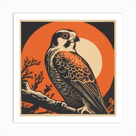 Retro Bird Lithograph American Kestrel 2 Art Print