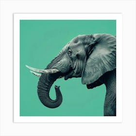 Animal Elephant In The Green Room Art Print