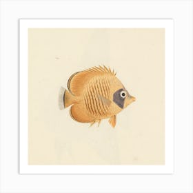 Unidentified Fish, Luigi Balugani Art Print