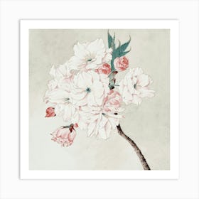 Cherry Blossoms Art Print