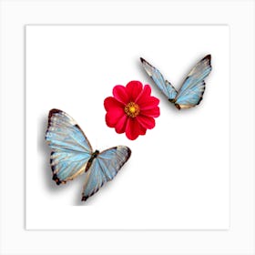 Two butterfly sitting on red flower design Art Print