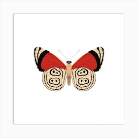 Tiger Moth Square Art Print