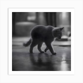 A Black And White Homeless Little Kitten 2 Art Print