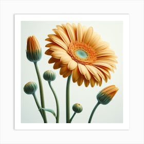 Transvaal Daisy 1 Art Print