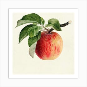 Apple On A Branch Art Print