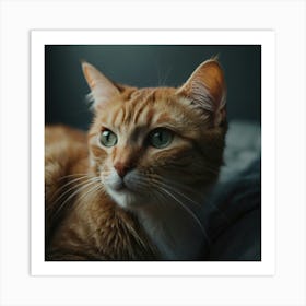 Default Cat Freddie Art 3 Art Print