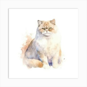 American Shorthair Persian Cat Portrait 1 Art Print