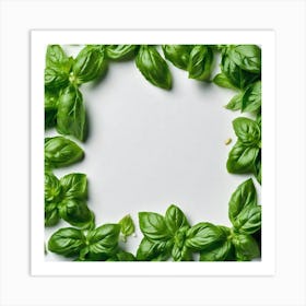 Green Basil Leaves On White Background Art Print