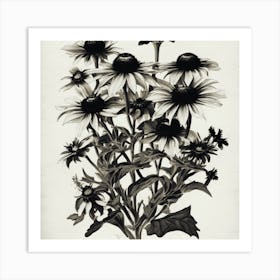 Black Eyed Susan 1 Art Print