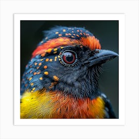Rizwanakhan Photo Of Close Up Of Colorful Beautiful Bird Niko E692c56c A874 42b6 B259 147836871274 0 Art Print