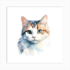 Cymric Cat Portrait Art Print