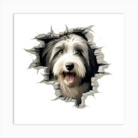 Dog Through A Hole Art Print