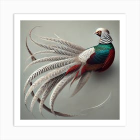 Pheasant 1 Art Print