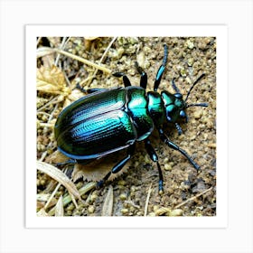 Beetle 11 Art Print