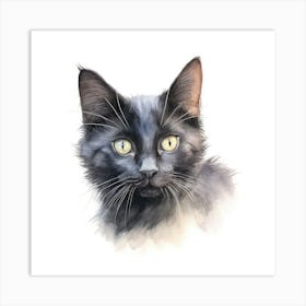 Russian Black Cat Portrait 2 Art Print