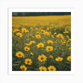 Sunflowers In A Field Art Print