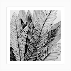 Black And White Leaves Art Print