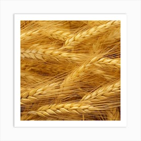 Golden Wheat 5 Art Print